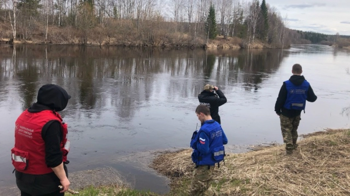 Поискам женщины в Коми мешает высокий уровень воды