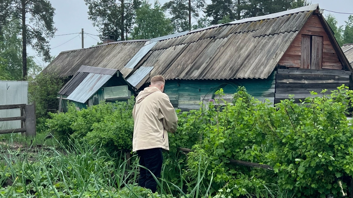 Против вредителей — идеально: агроном из Лосино-Петровского рассказала, как уничтожить слизней в огороде
