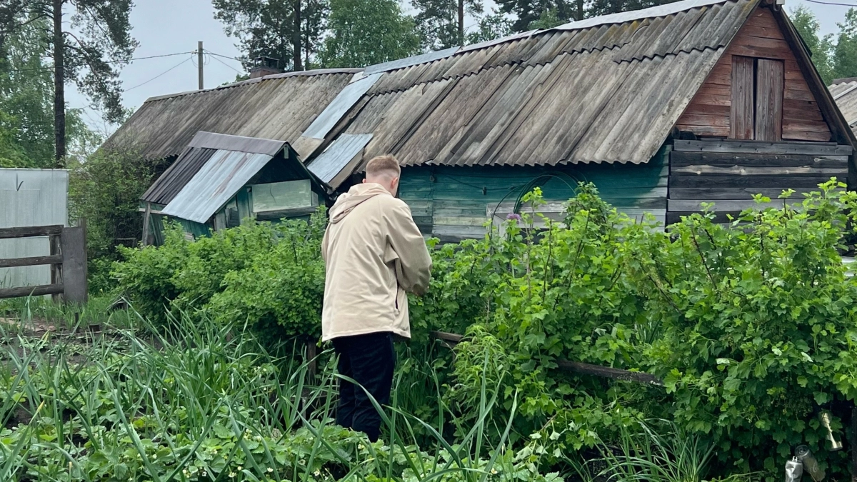 Что положить в лунку при высадке: 2 ложки для мясистых томатов - проверено на 10 кустах