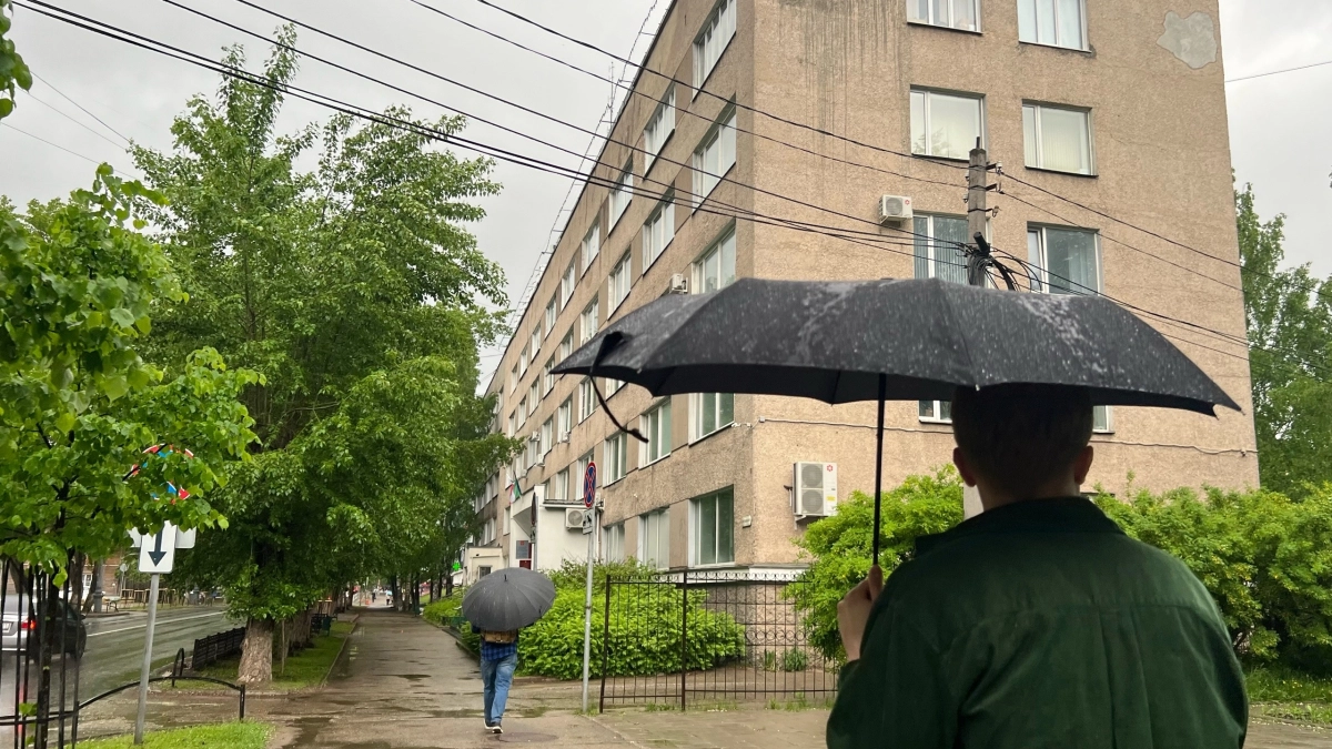 В Коми придут дожди и холод: синоптики рассказали о погоде на 25 мая