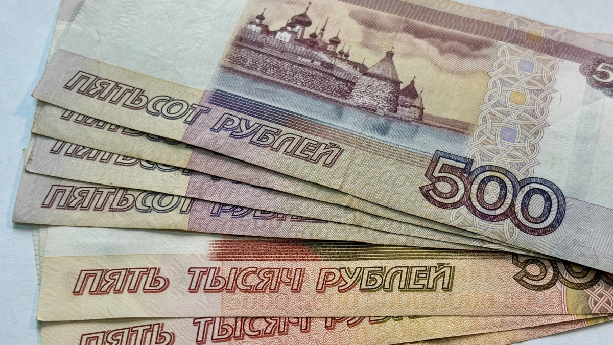Число предпринимателей в Коми выросло до 19,7 тысячи: каждый четвертый торгует в розницу