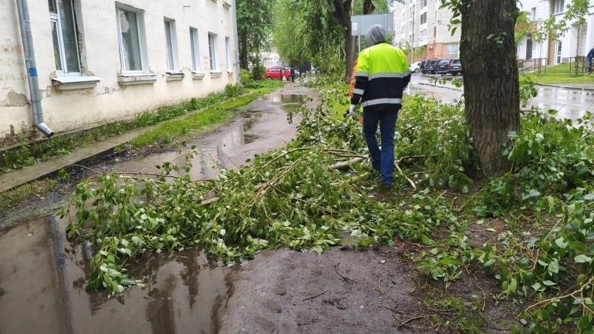 В Сыктывкаре коммунальные службы борются с последствиями вчерашнего урагана