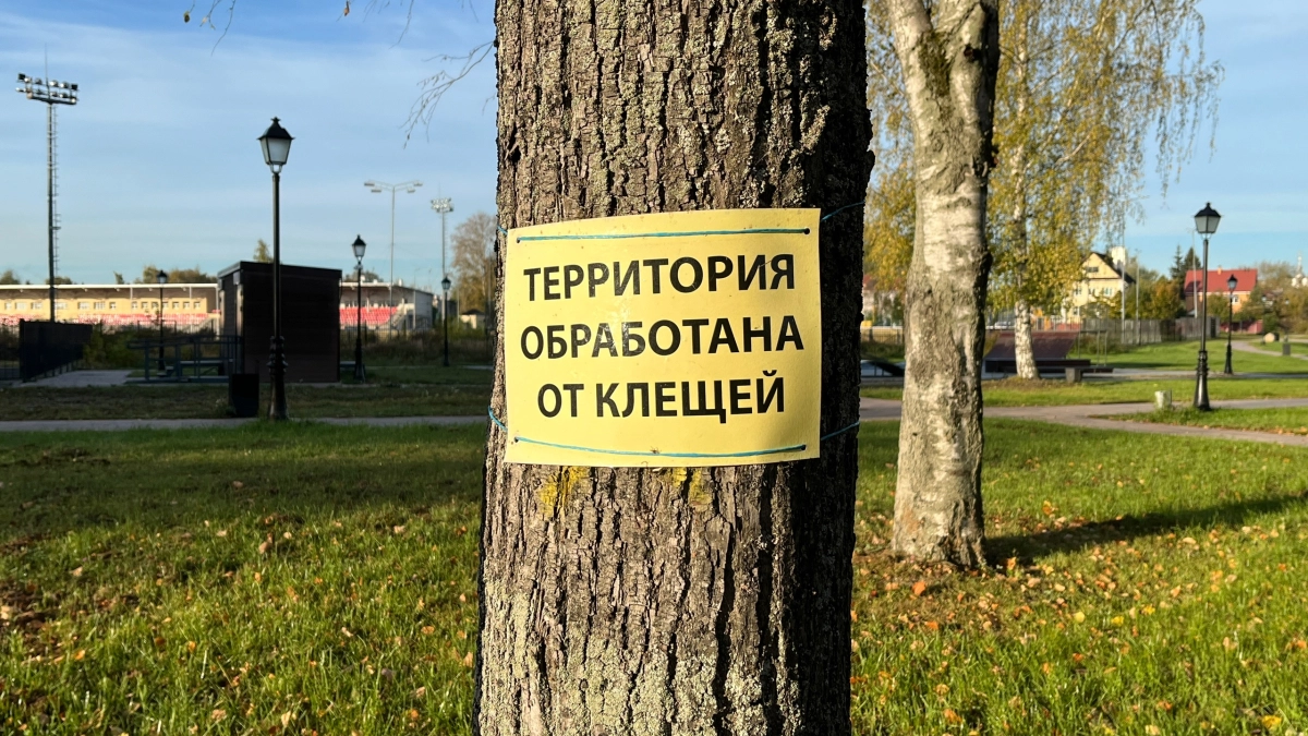 В Коми за неделю от нападений клещей пострадали почти 600 человек