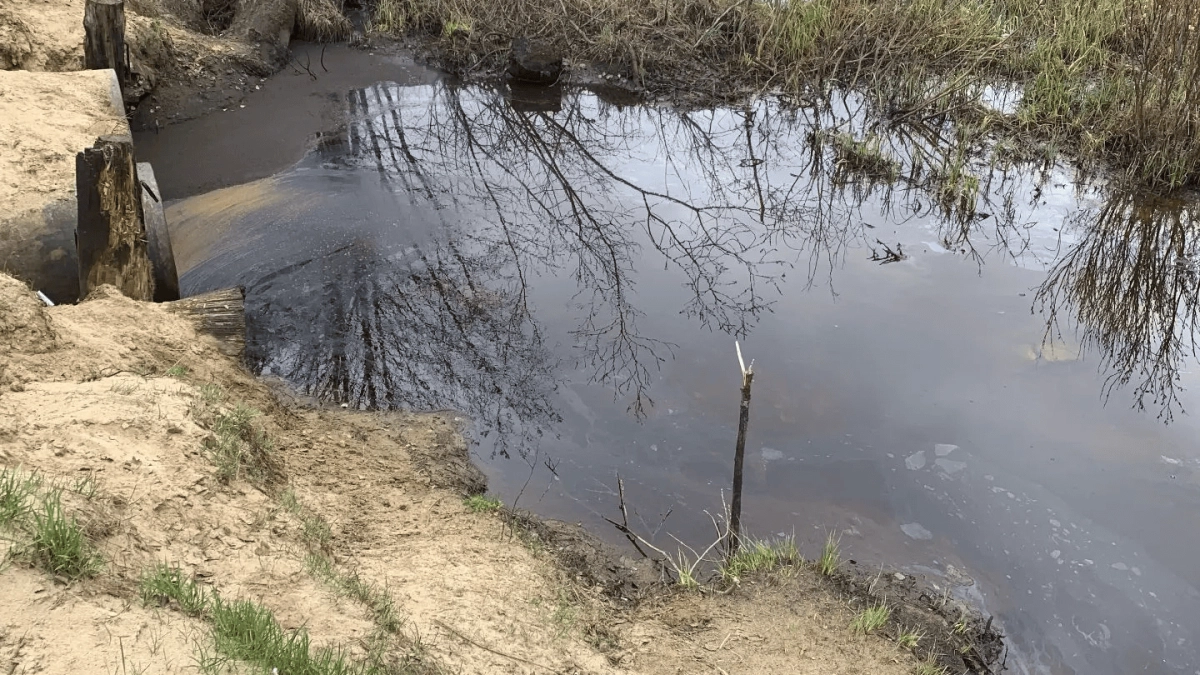 Инспекция Минприроды обнаружила в районе Коми нефтяные загрязнения ручья и заброшенный карьер