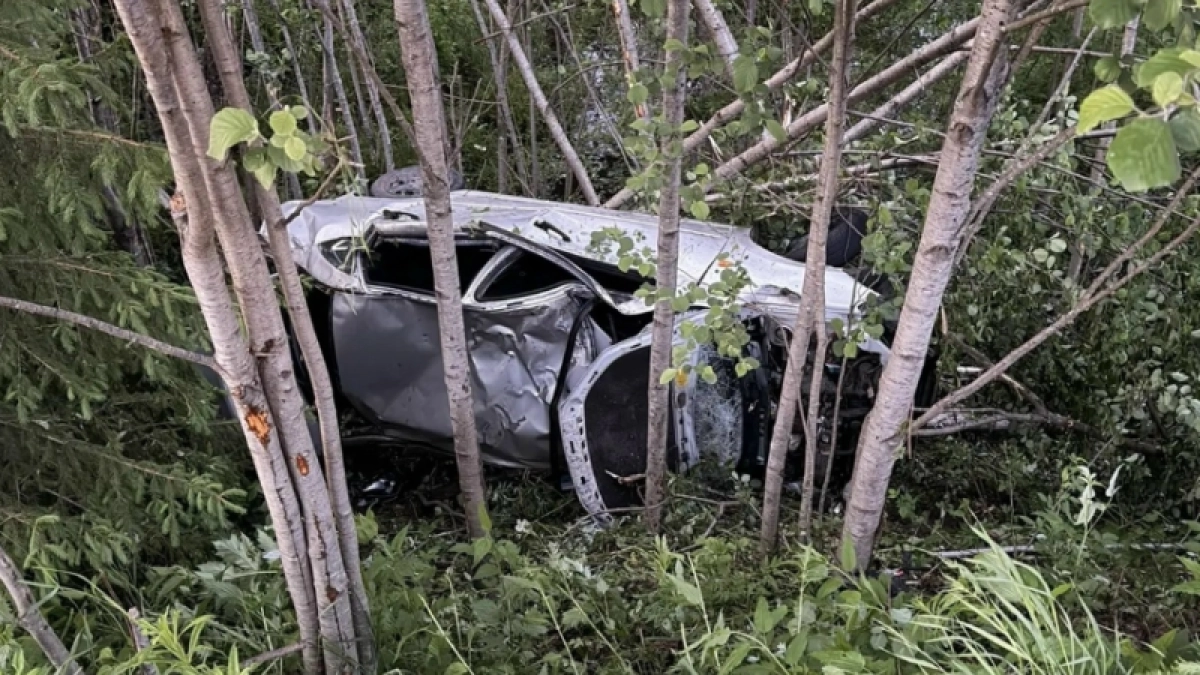 В Коми автомобиль опрокинулся в кювет: пострадали трое