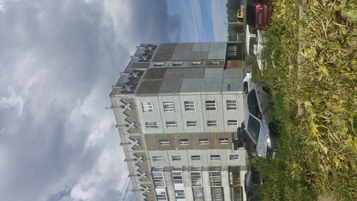 В Сыктывкаре началась масштабная кампания по уничтожению борщевика