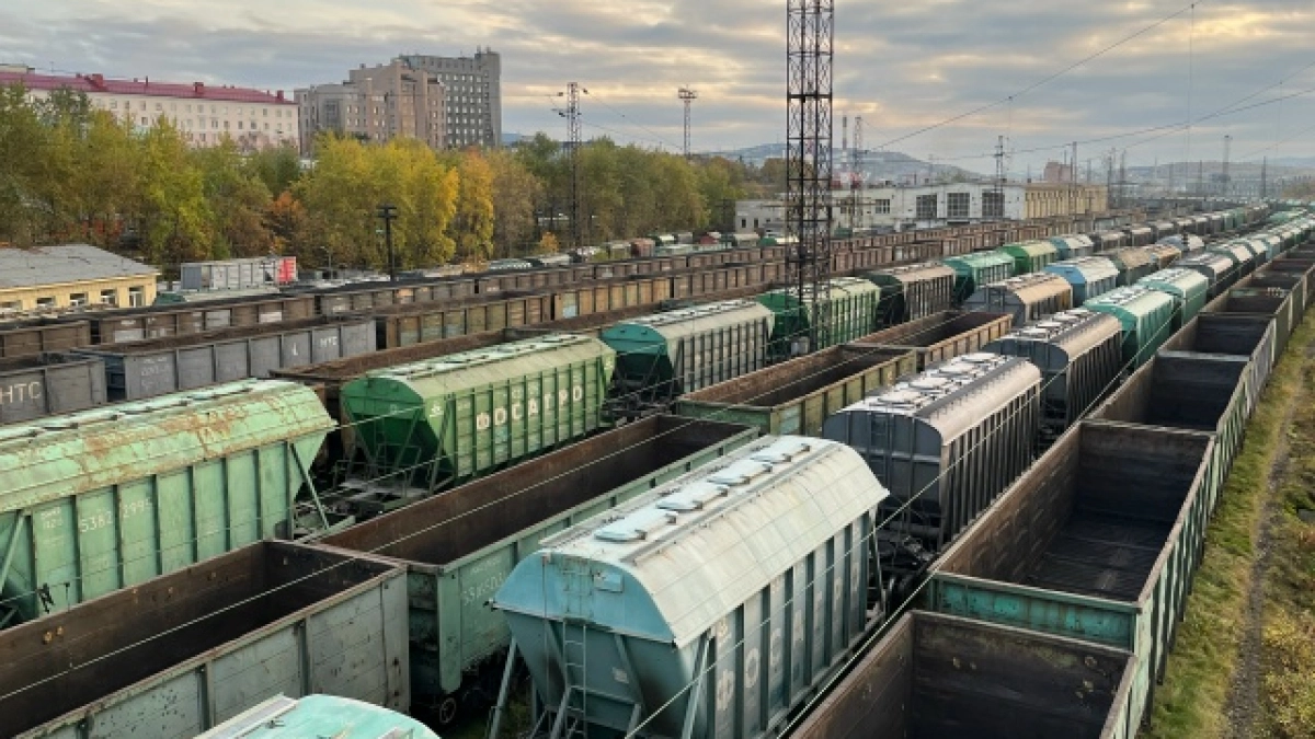 Погрузка на РЖД в Коми выросла на 2,9% в мае благодаря строительным грузам и руде