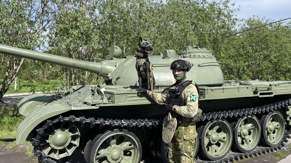 Чутьё, выучка и преданность: как служебные собаки Росгвардии помогают обеспечивать безопасность в Коми и за ее пределами