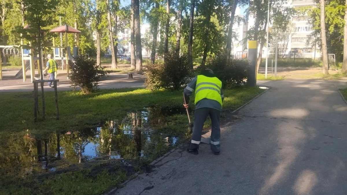 В Сыктывкаре коммунальные службы косят траву и убирают парки: глава города рассказал о плановых работах