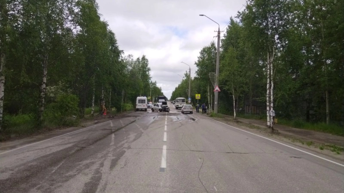 В Коми автомобилист в нетрезвом состоянии врезался в придорожное дерево