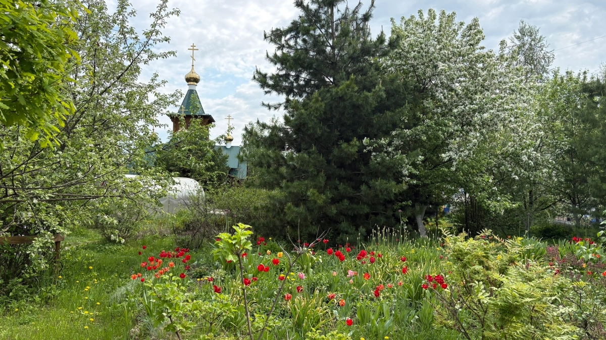 Грозы и до +30°C: прогноз погоды по Коми на 11 июля