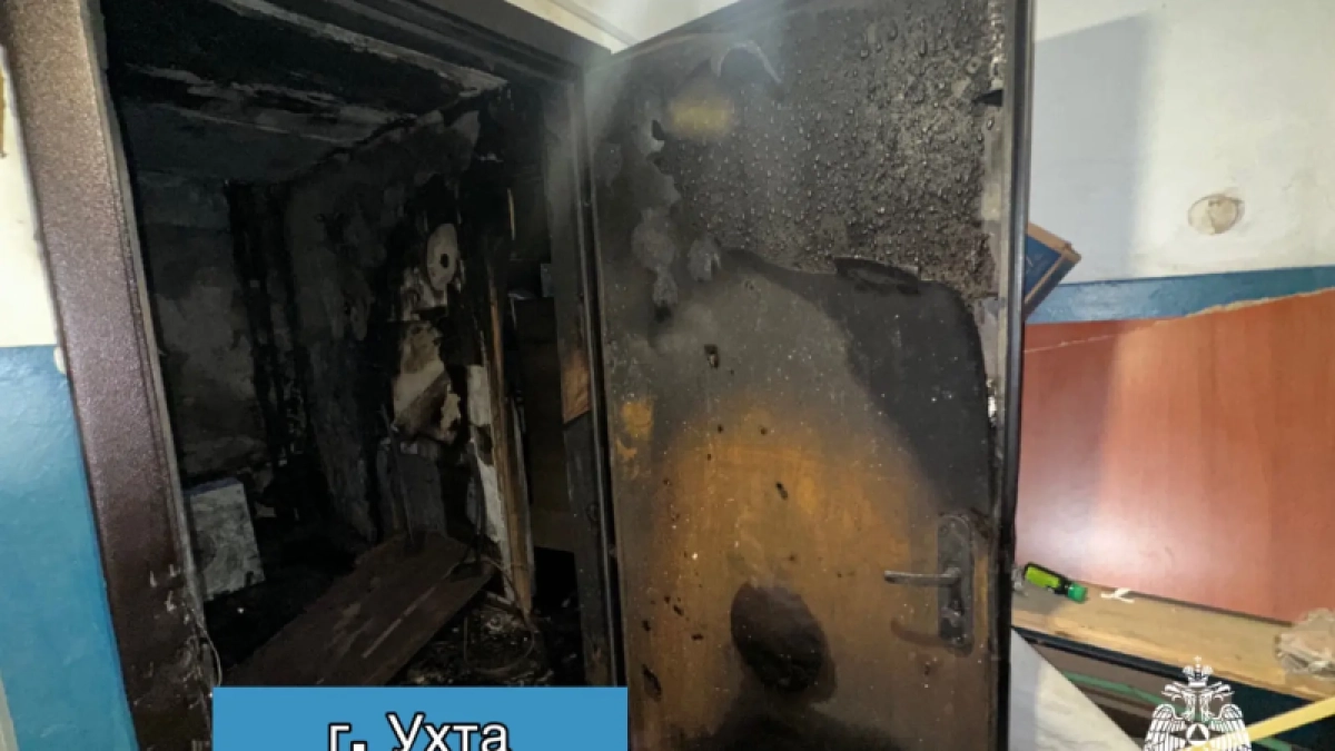 За минувшие сутки в Республике Коми ликвидировано девять возгораний