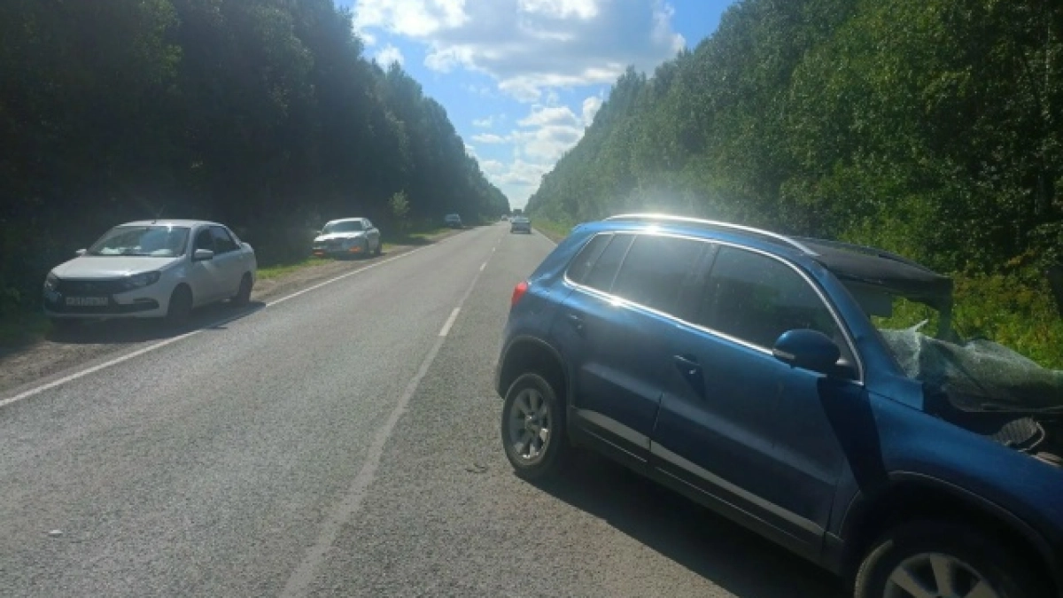 ДТП на трассе Сыктывкар – Нарьян-Мар: водители Volkswagen и ГАЗа попали в больницу