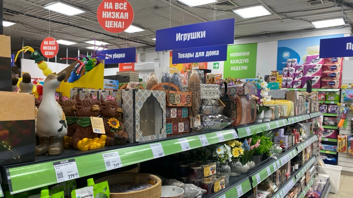 Взяла дешевые садовые перчатки в "Фикс Прайсе", но не для работы в огороде: как они помогли мне в хозяйстве