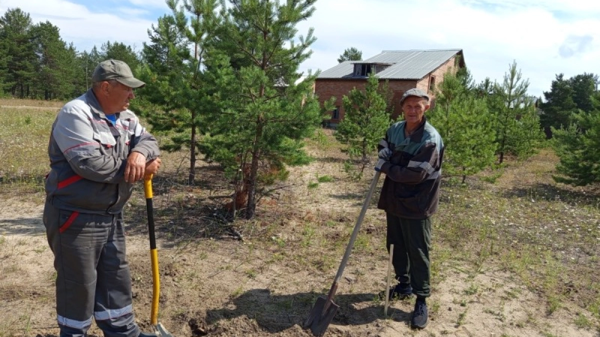 В шести районах Коми запустят десять проектов по программе “Народный бюджет”