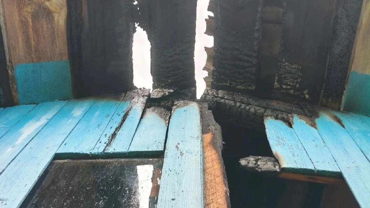 В двух районах Коми молния стала причиной возгораний