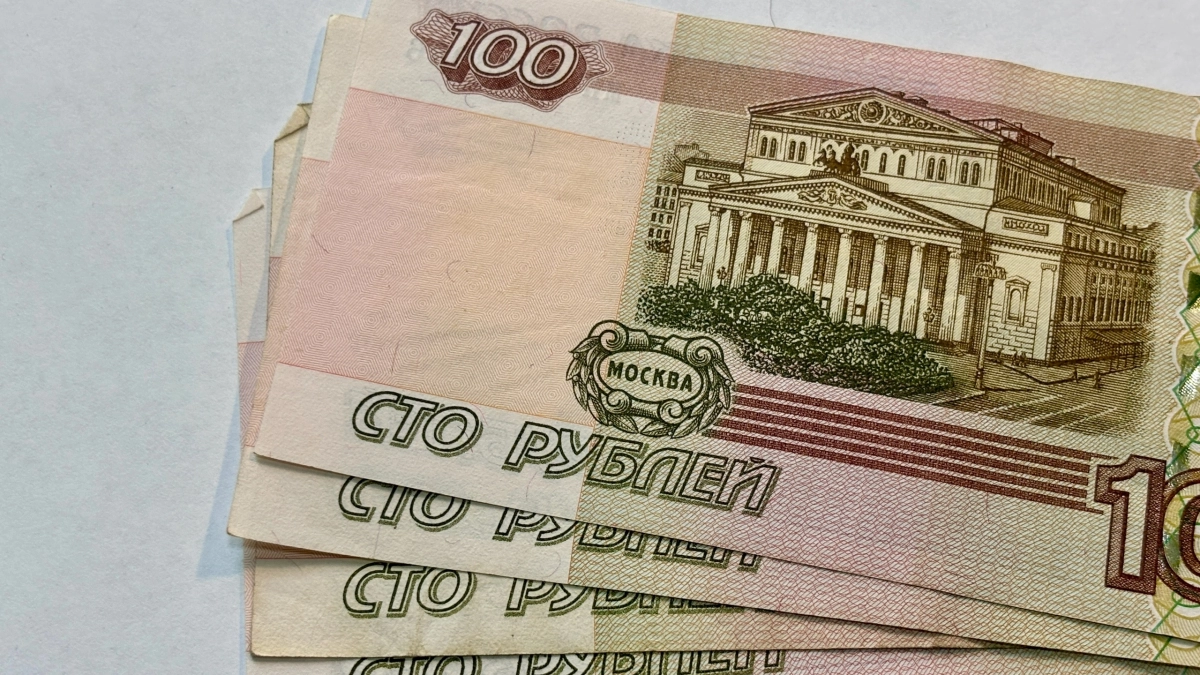 Финансовой подушки сыктывкарцев в среднем хватит на 4,4 месяца при потере работы
