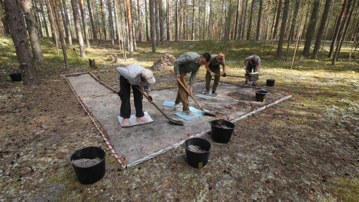 В Коми обнаружили стоянку-мастерскую по изготовлению наконечников стрел III тысячелетия до нашей эры