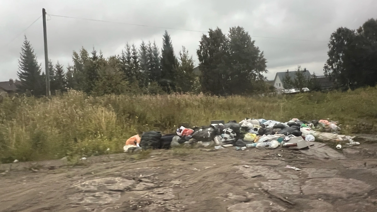 Пригород Сыктывкара утопает в отходах: почему частный сектор превращается в свалку