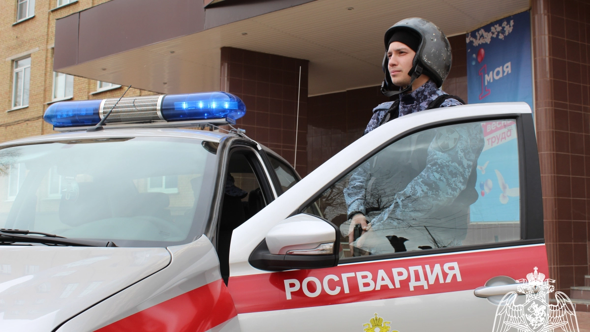 В двух городах Коми росгвардейцы остановили дебоширов