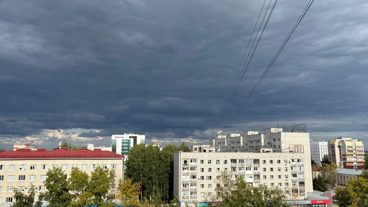 В Коми циклон принесет дожди и грозы: синоптики рассказали о погоде на 24 августа