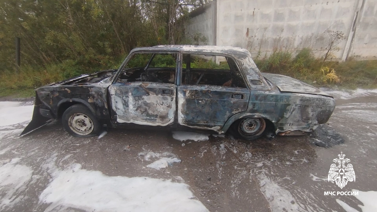 В городе Коми огонь уничтожил автомобиль