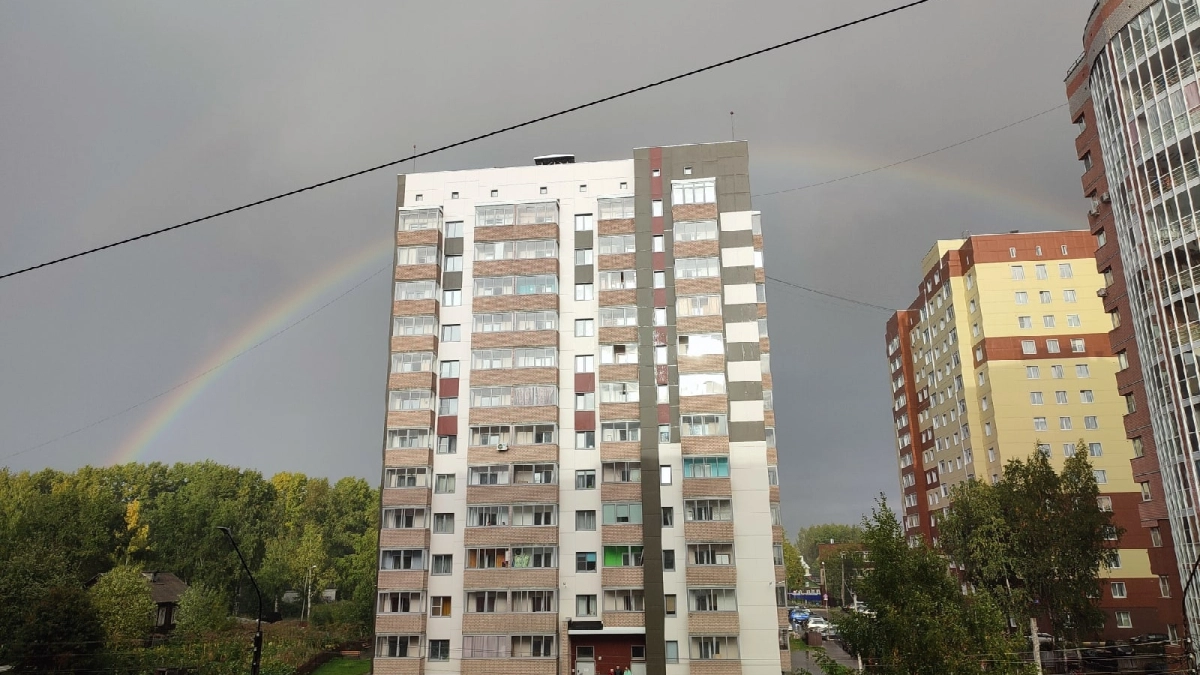 Тепло и дождливо: синоптики рассказали о погоде в Коми 5 сентября