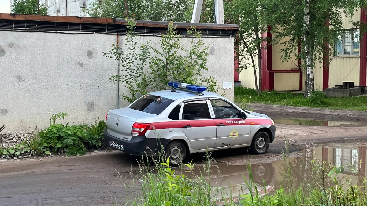 Более 40 стволов и 80 патронов изъяли росгвардейцы в Коми за неделю