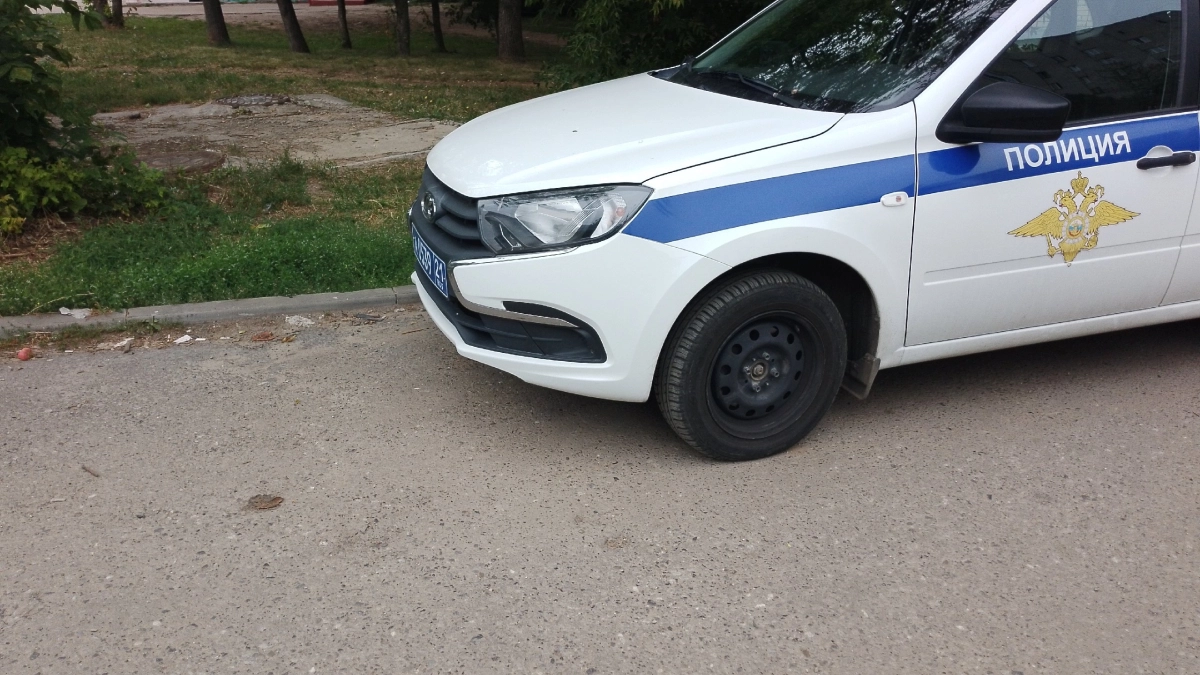 Пьяный житель Коми протащил инспектора ГИБДД на двери автомобиля