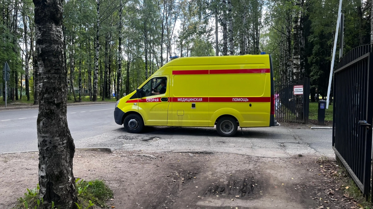 Медик из Сыктывкара предупредил об опасности поездок с нетрезвым водителем