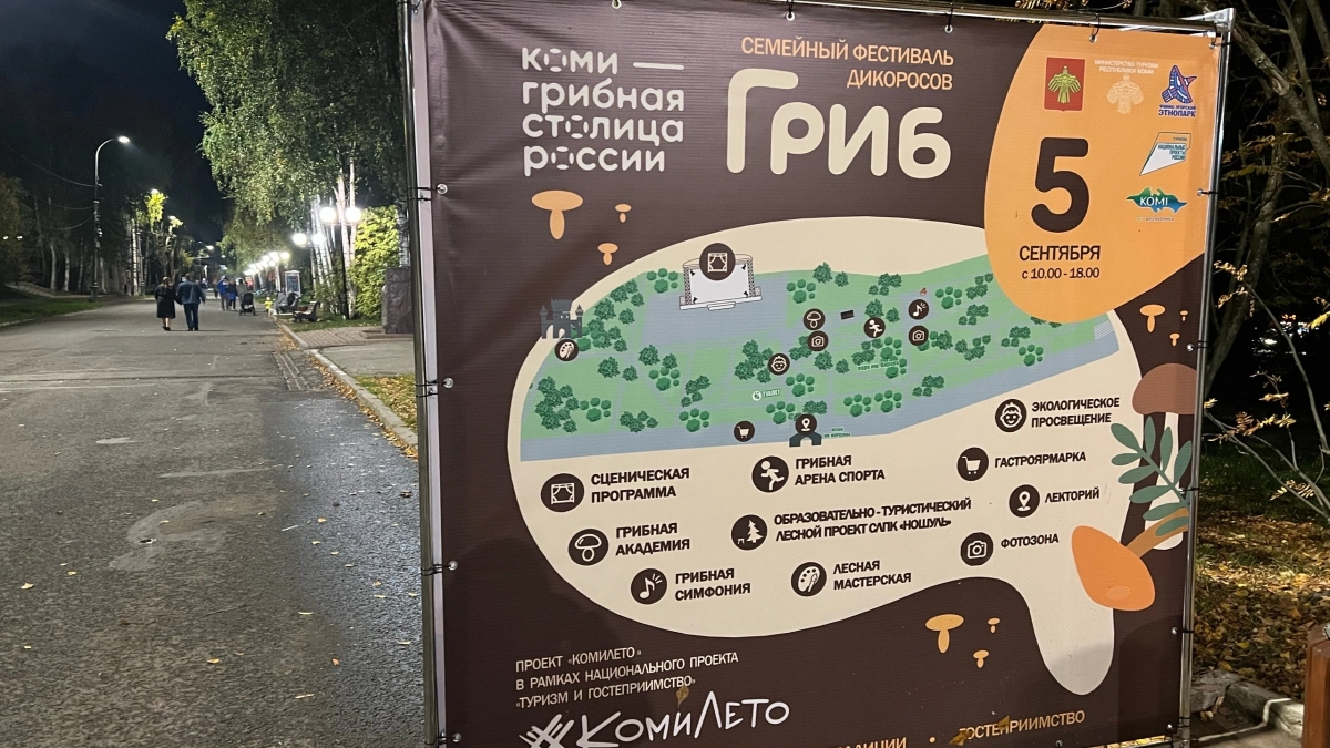 В Коми создали Грибной кодекс 