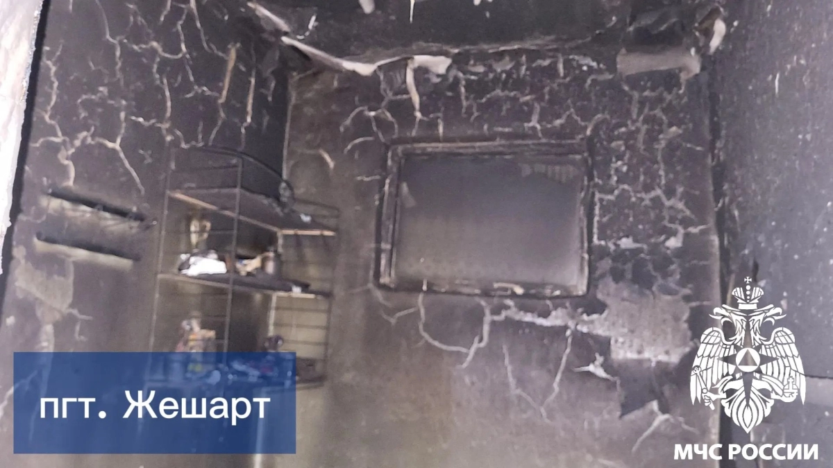 В Коми из горящей квартиры спасли мужчину