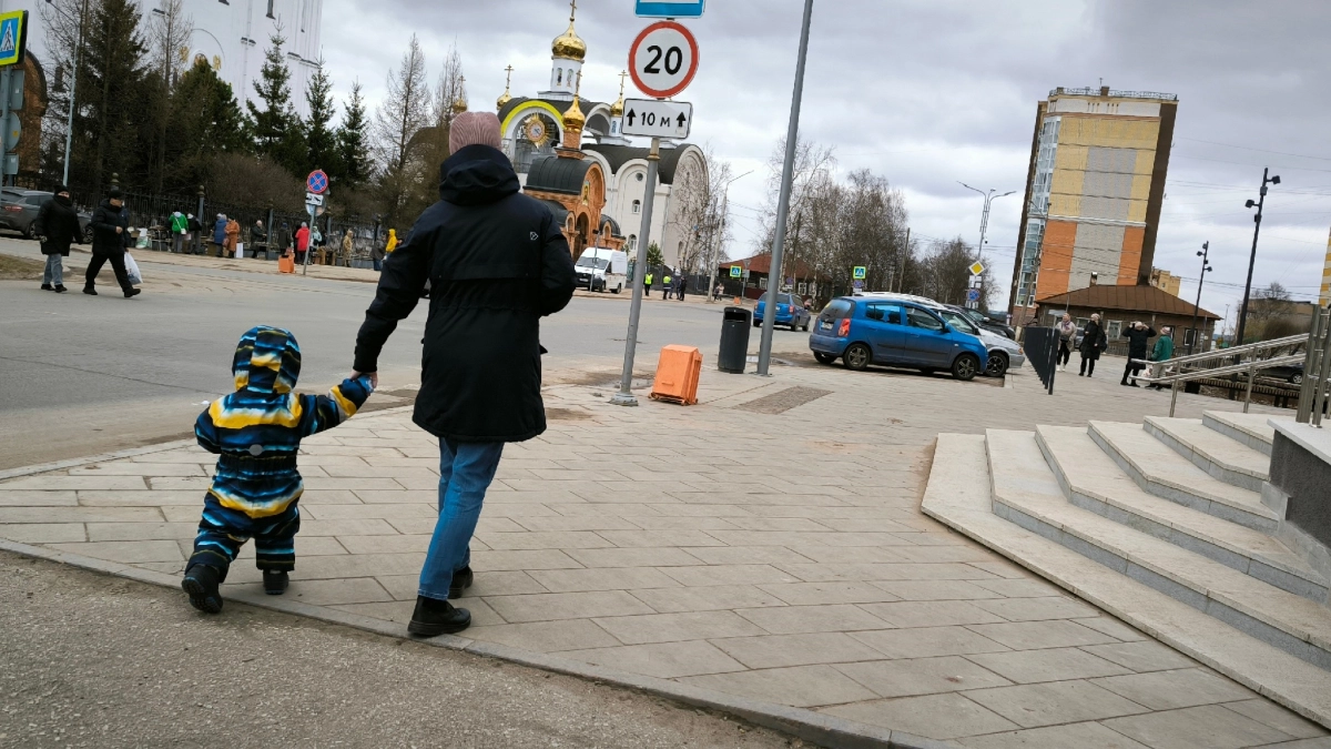 В Коми учредили День многодетной семьи