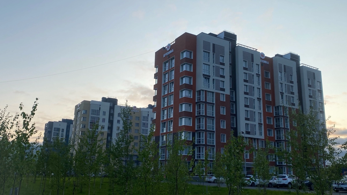 Ипотека под 2%, деньги на свое дело и врачи ближе к дому: какие возможности получают семьи Коми