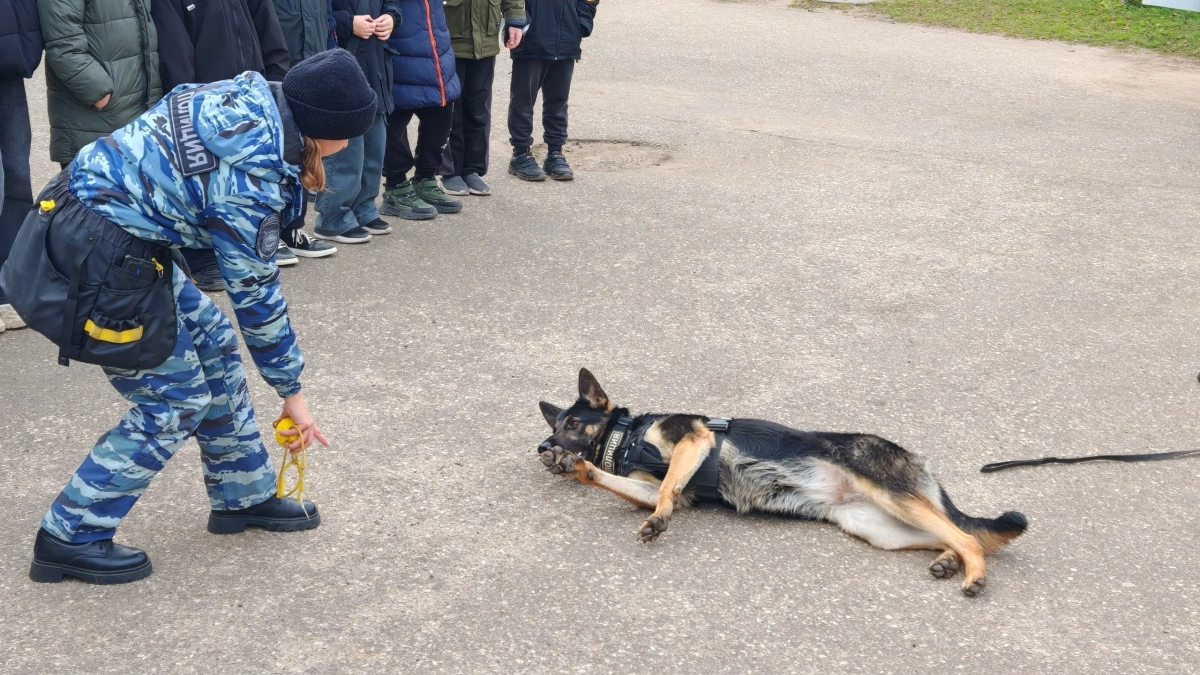 Сыктывкарские полицейские научили кадетов школы №18 распознавать мошенников и работать с собаками