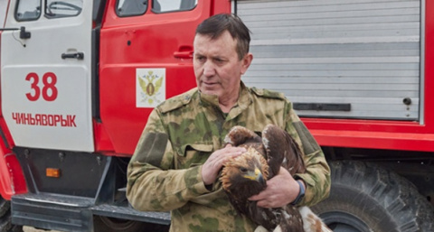 В Коми пожарные и сотрудники Росприроднадзора спасли от гибели краснокнижного беркута