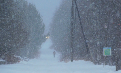 В Сыктывкаре 7 марта объявлено экстренное предупреждение: жителей ждёт сильный снегопад и небольшая метель