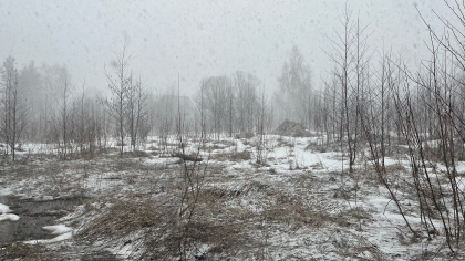 В ближайшие часы Коми накроет штормовой ветер 