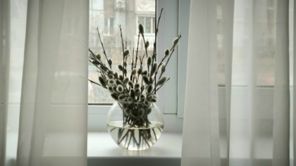 Жителям Коми рассказали, когда и зачем святить вербу