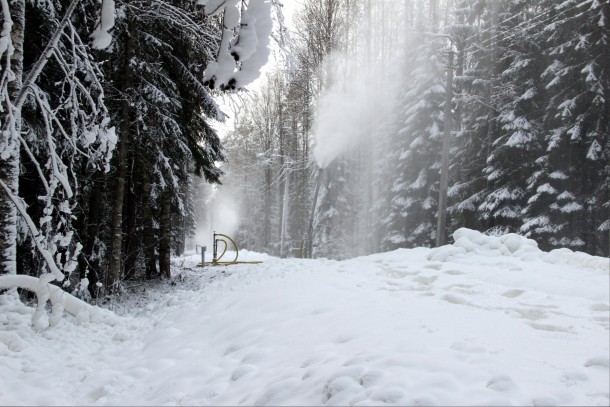 В Сыктывкаре «кончился» снег: на лыжни нанесут искусственный