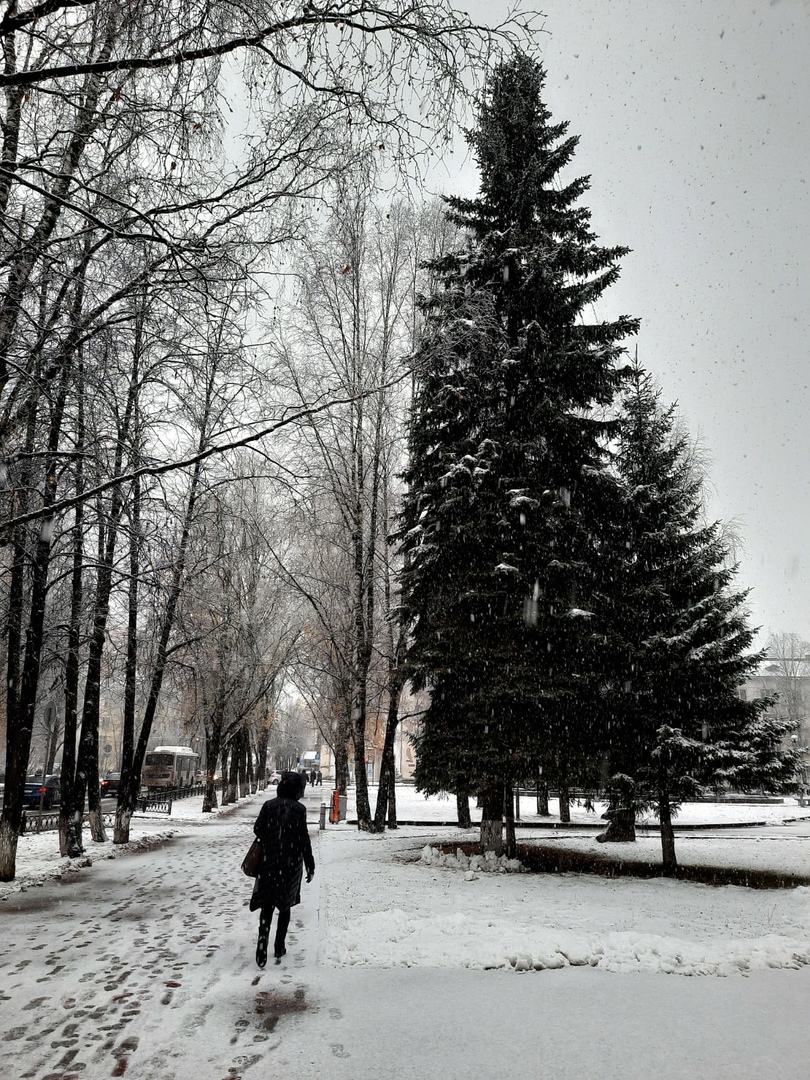 Синоптики ждут первый снег в Сыктывкаре к середине недели