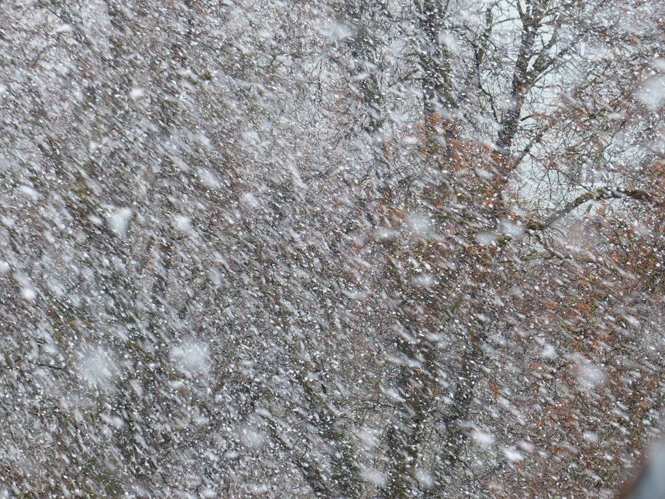 Мощнейший снегопад: в МЧС Коми объявили штормовое предупреждение