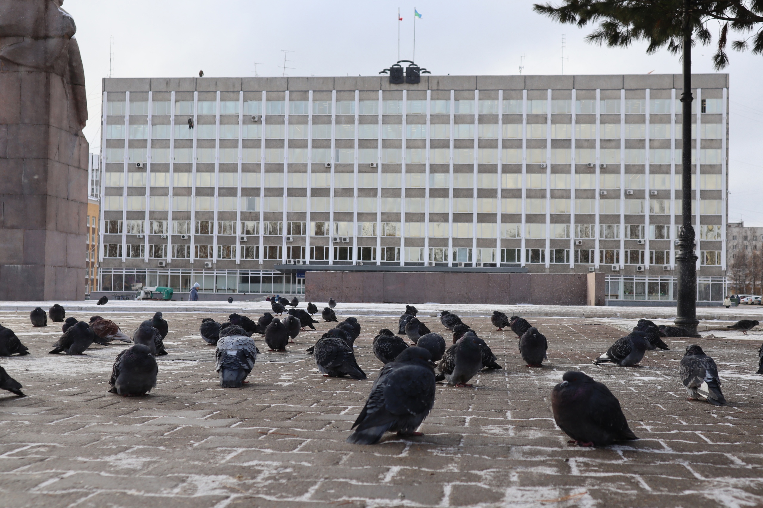 Синоптики рассказали о погоде на следующей неделе в Сыктывкаре