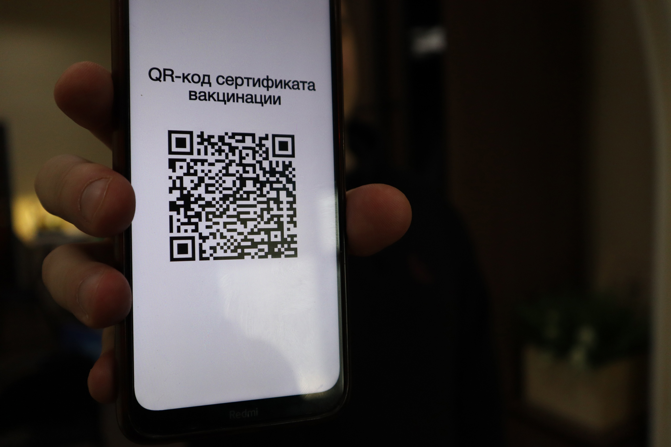 При введении QR-кодов будут учитывать мнение россиян