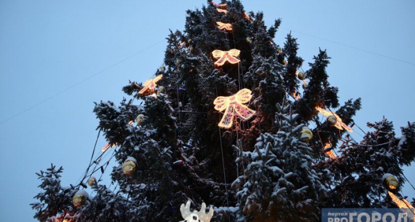 Куда сдать новогодние елки в Сыктывкаре, чтобы помочь экологии