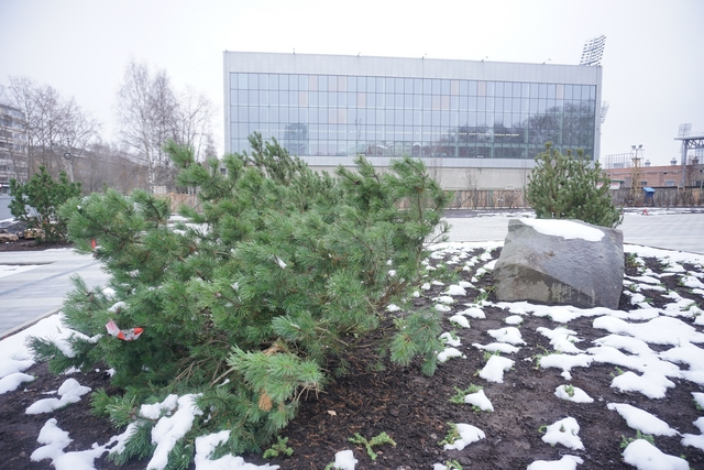 Мэров городов предложили оценивать по вкусу и стилю
