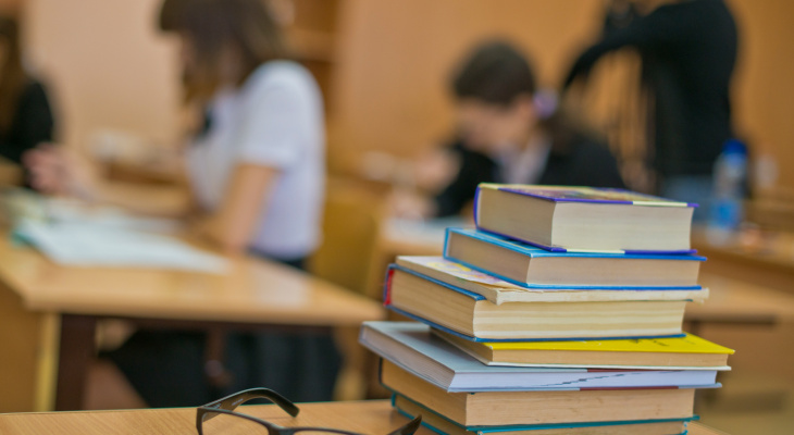 В Госдуме призвали обсуждать аборты на школьных уроках