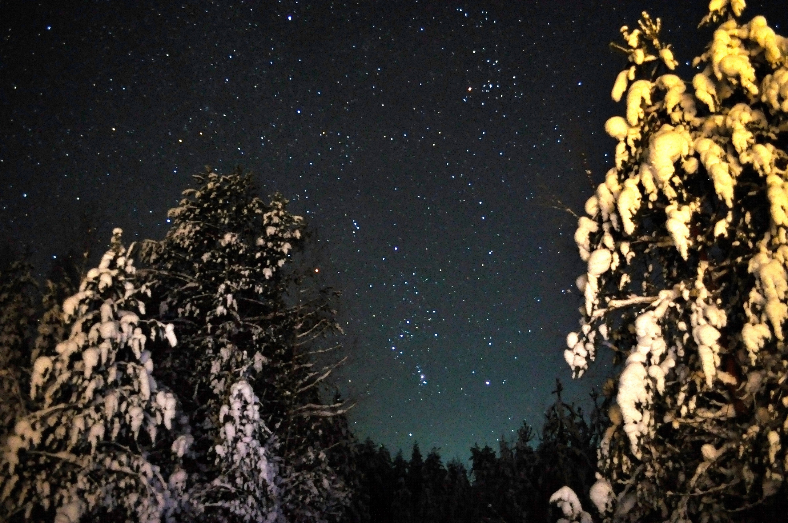 Непростые ситуации и серьезные ошибки: гороскоп на 17 января для всех знаков зодиака