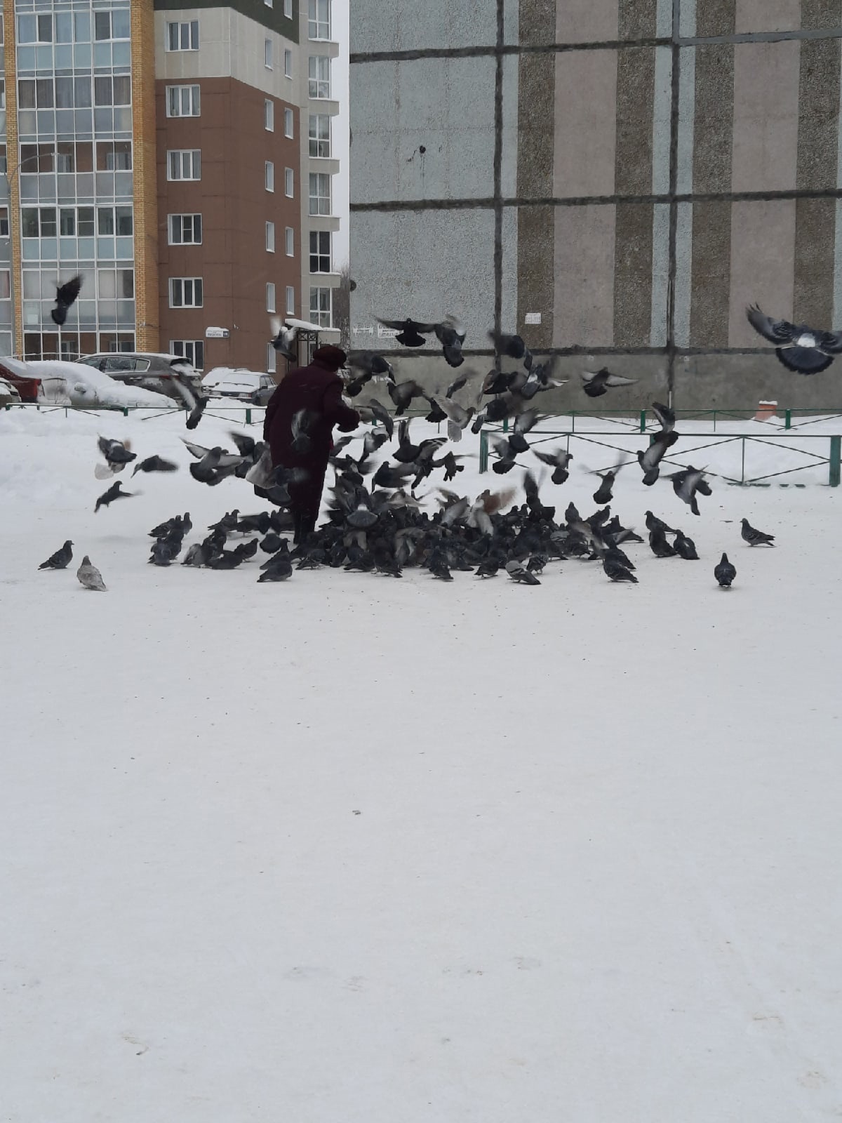 Какие знаки зодиака самые незабываемые