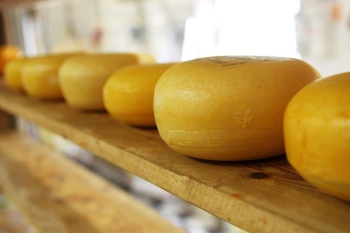 Жителям Коми рассказали, как правильно выбрать сыр тильзитер